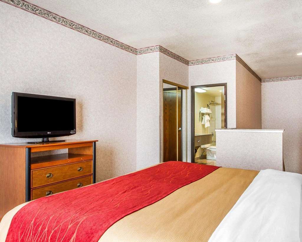 Comfort Inn Lathrop Stockton Airport Rom bilde
